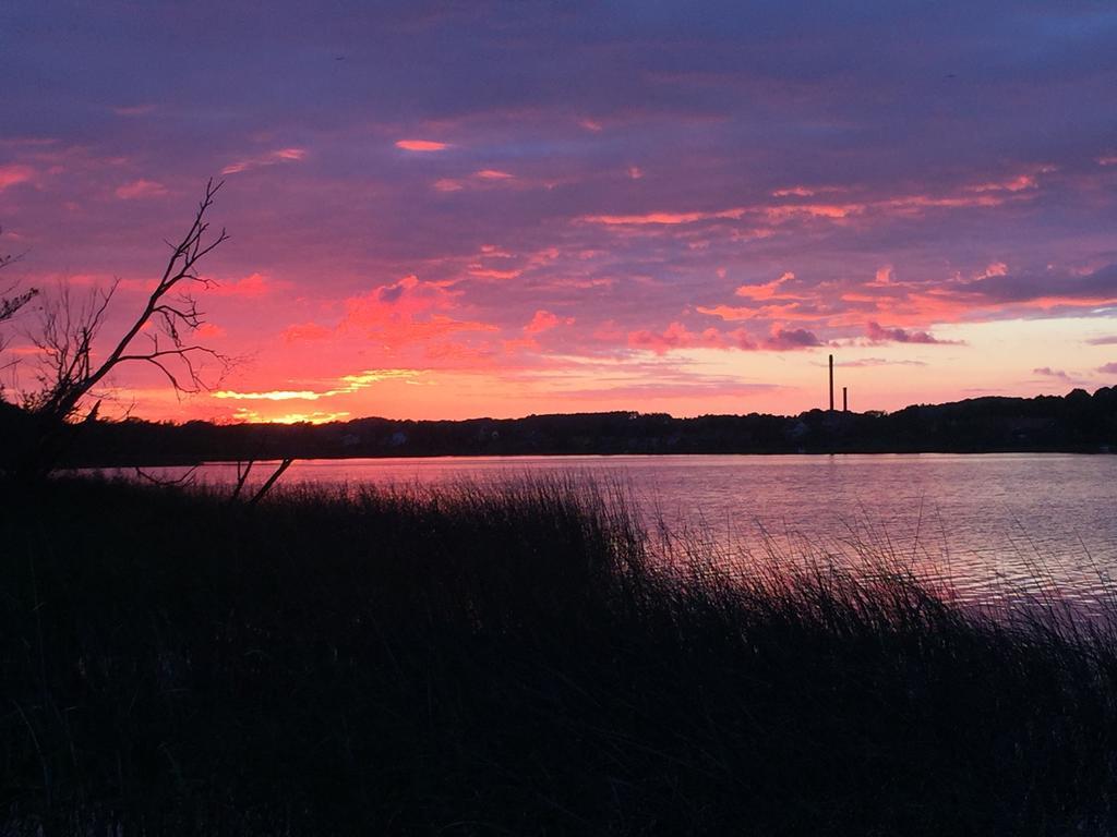 Silkeborg Sø Camping Apartments Eksteriør bilde